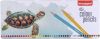 Bruynzeel kleurpotlood Schildpad, metalen doos met 45 potloden online kopen