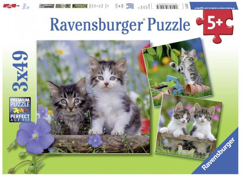 Ravensburger Puzzel Katten 3 X 49 Stukjes