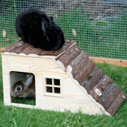 Kerbl Speelhuis Ramses