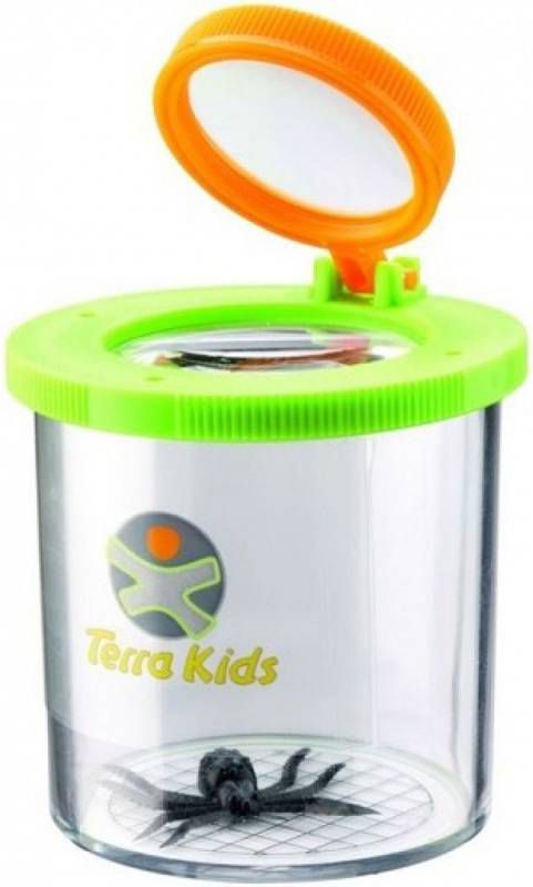 Haba Terra Kids Bekerloep 7 Cm Transparant/groen