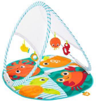 Fisher-Price draagbare en opvouwbare babygym