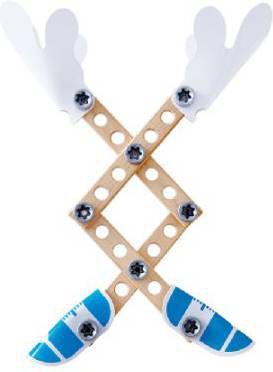 Hape Constructieblokken Bouwpakket voor knutselaar(37 stuks )